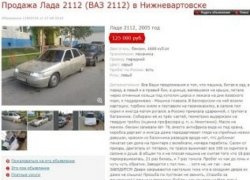 фото изображение картинка
