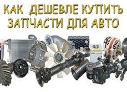 фото изображение картинка