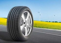 фото изображение картинка