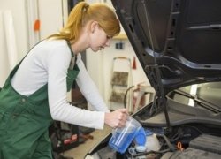 фото изображение картинка