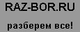 raz-bor.ru �������� ���!
